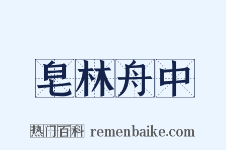 皂林舟中是什么意思的图片